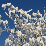 Zimowy atak w kraju i deszczowe perspektywy dla Wybrzeża