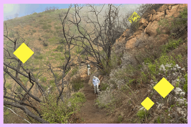 A year after the L.A. fires, trail crew workers reflect on what we've learned | przegladursynowski.pl