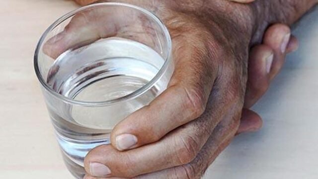 Badanie NIMHANS proponuje nowy model wczesnego tworzenia się złogów białkowych w chorobie Parkinsona
| przegladursynowski.pl