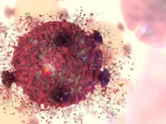 Badanie podkreśla potencjał metod opartych na ferroptozie w leczeniu raka
| przegladursynowski.pl Badanie podkreśla potencjał metod opartych na ferroptozie w leczeniu raka
| przegladursynowski.pl