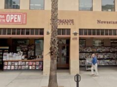 Dziennikarstwo w Los Angeles to nowy rok wielu startupów
| przegladursynowski.pl Dziennikarstwo w Los Angeles to nowy rok wielu startupów
| przegladursynowski.pl