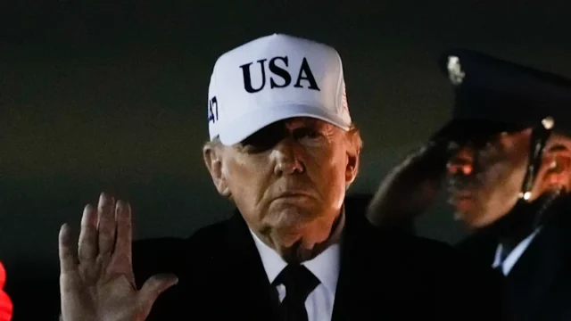 How Trump’s first year ushered in ‘the law of the jungle’ | przegladursynowski.pl