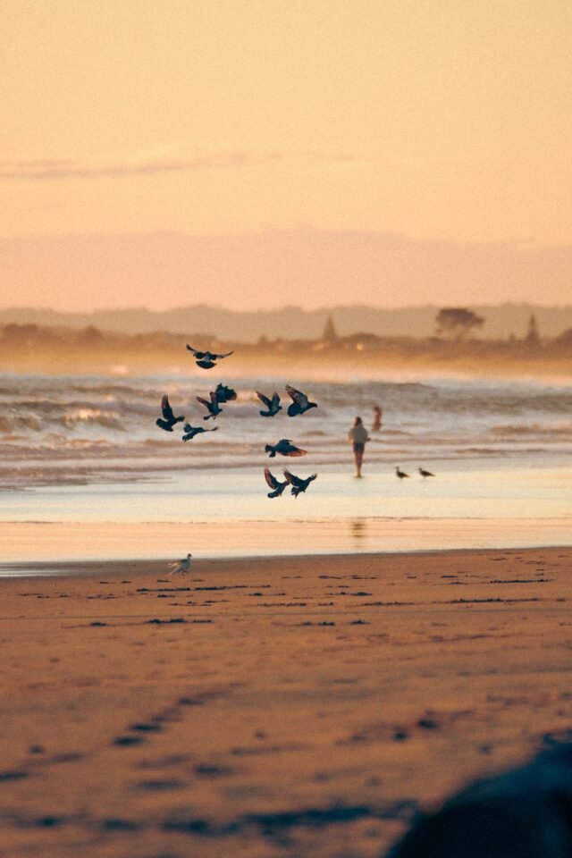 Idź, znajdź szczęście
| przegladursynowski.pl