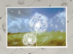 Jak po trudnym roku będzie wyglądać wpływ przedsiębiorstwa i zrównoważony rozwój w roku 2026?
| przegladursynowski.pl Jak po trudnym roku będzie wyglądać wpływ przedsiębiorstwa i zrównoważony rozwój w roku 2026?
| przegladursynowski.pl