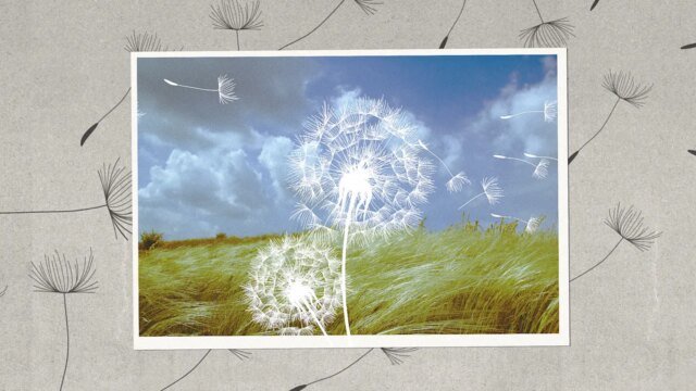 Jak po trudnym roku będzie wyglądać wpływ przedsiębiorstwa i zrównoważony rozwój w roku 2026?
| przegladursynowski.pl