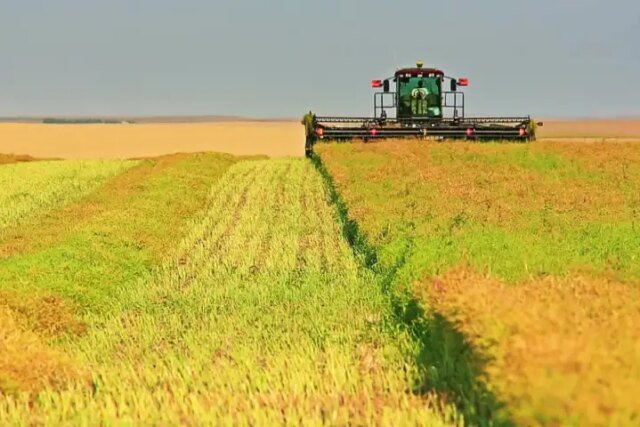 Kanadyjscy hodowcy rzepaku wyrażają „ostrożny optymizm” w sprawie umowy handlowej z Chinami
| przegladursynowski.pl