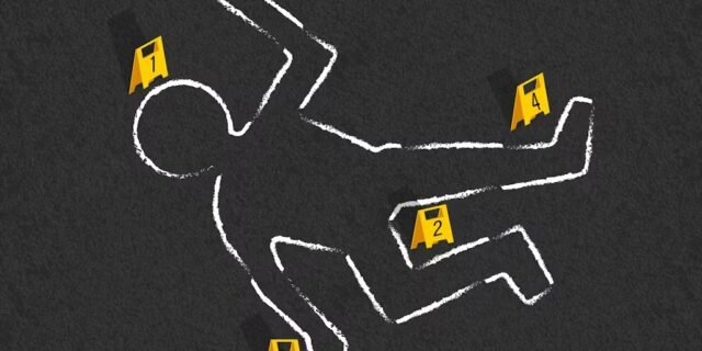 Odciski palców i rozpryski krwi: jak uczelnia przygotowuje następną grupę badaczy
| przegladursynowski.pl