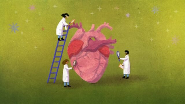 Opinia: STAT+: Nowy model innowacji MAHA ELEVATE firmy CMS ma zasadniczą wadę
| przegladursynowski.pl