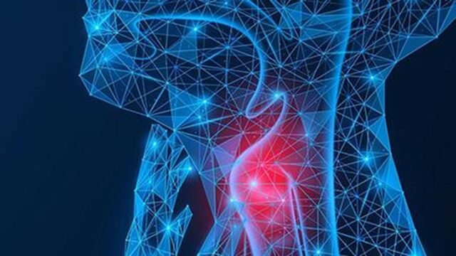 Puberfonia: co się dzieje, gdy głos nie zmienia się po okresie dojrzewania
| przegladursynowski.pl