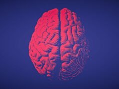 STAT+: FDA odrzuca prośbę Stoke o szybsze zgłoszenie leku na ciężką padaczkę
| przegladursynowski.pl STAT+: FDA odrzuca prośbę Stoke o szybsze zgłoszenie leku na ciężką padaczkę
| przegladursynowski.pl