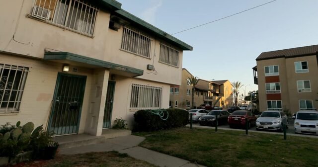 Watts próbował opłakiwać „Mamę Curtis”. Potem przyszli funkcjonariusze LAPD z paralizatorami i pałkami
| przegladursynowski.pl