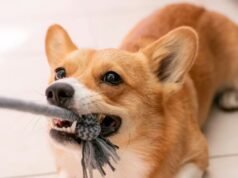 Zerwanie z Edtech jest trudne
| przegladursynowski.pl Zerwanie z Edtech jest trudne
| przegladursynowski.pl