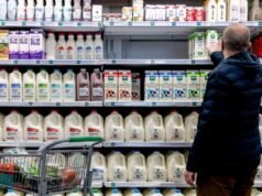 – Widzisz to piękne mleko?
| przegladursynowski.pl – Widzisz to piękne mleko?
| przegladursynowski.pl