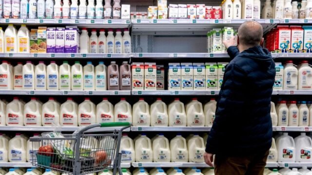 – Widzisz to piękne mleko?
| przegladursynowski.pl